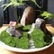 Preserved Moss Bulk Green Natural Preserved Pole Moss Pillow for Potted Plants 2.5 sq.ft Green Moss Balls for Bowls Wall Art Terrariums Crafts Fairy Gardens Easter Table Decor